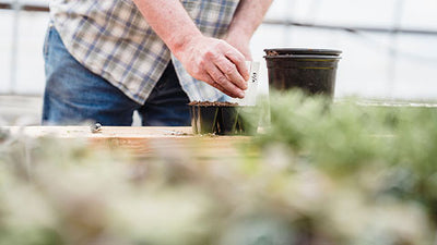 16 Time-Saving Tips for Organic Gardeners  Using Raised Beds