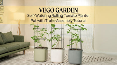 Self-Watering Rolling Tomato Planter Pot with Trellis Assembly Tutorial | Vego Garden
