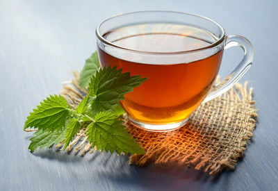 From Your Garden: 8 Tea Blends for Immunity