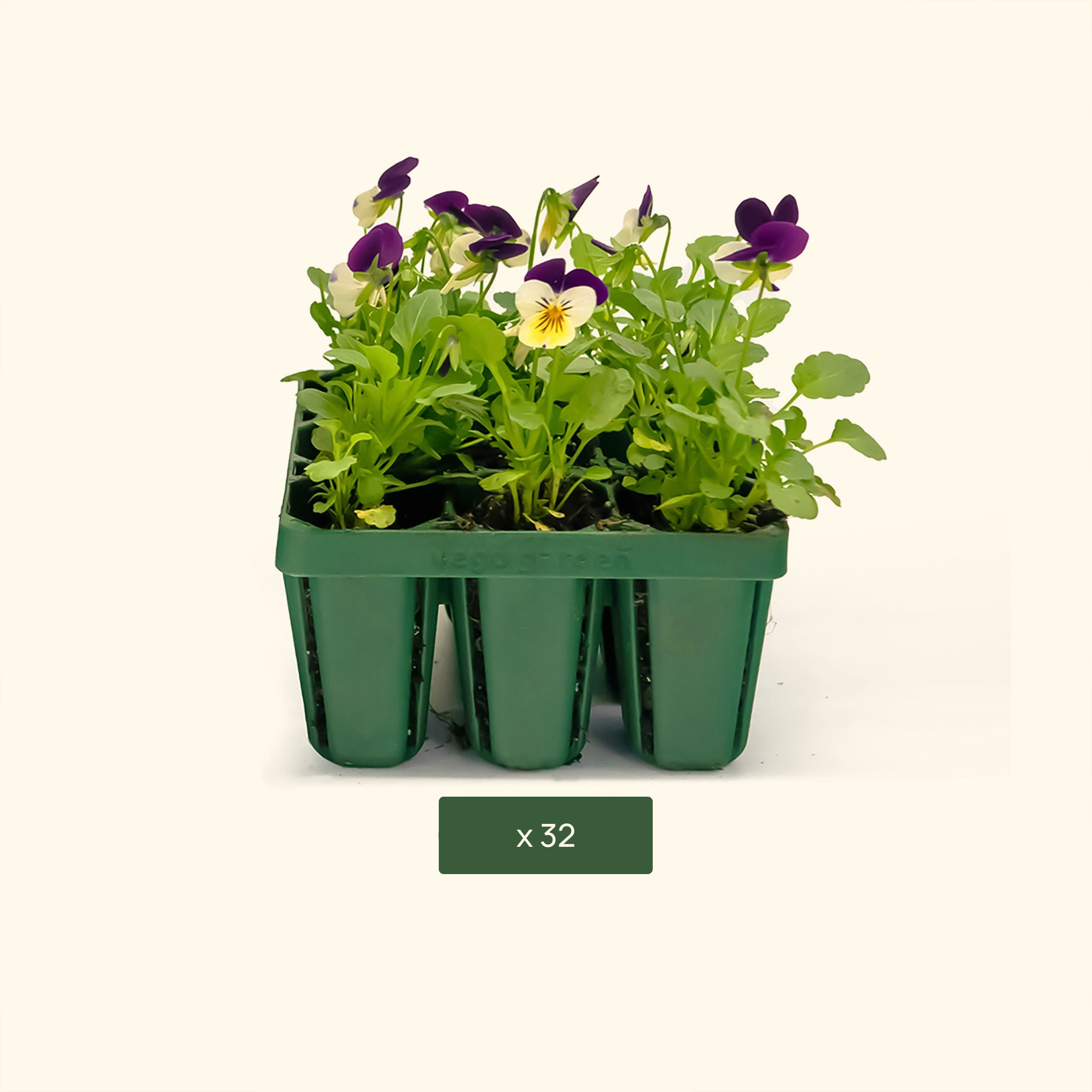 Vego Garden | Seedling Trays with Drip Irrigation & Air Pruning Strips - 32 Pack