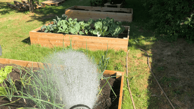 Top 5 Tips for Gardening Through Drought and Heat Stress