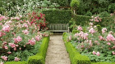The Joy of Fragrant Gardens