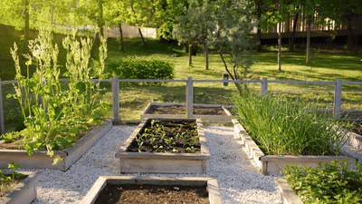 Should I Put Rocks in the Bottom of My Raised Bed?