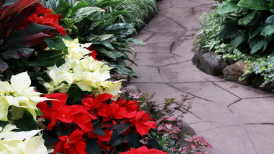 Spruce Up Your Outdoor Space: 10 Christmas Garden Decor Ideas