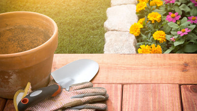 Top 5 Gifts Gardeners Will Love