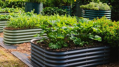 Vego Garden: Advancing Gardening with Innovative Raised Beds