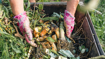 Common Items You Didn’t Know Were Compostable