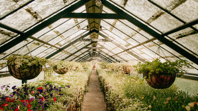 7 Ways to Extend Your Growing Season with Greenhouses