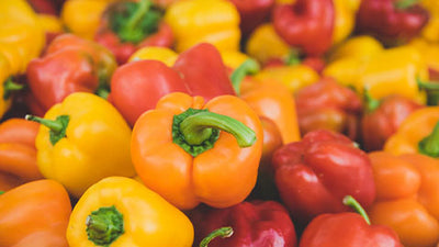 Discover the Easiest Peppers to Grow in Your Garden: From Mild to Spicy