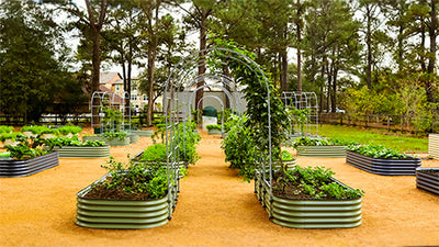 Redefining Space and Sustainability: Vego Garden's Raised Beds Make Gardening Easier