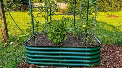 Vego Garden Raised Beds Proved Worth the Investment in Our Tests