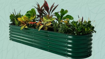 The Best Raised Garden Beds of 2023