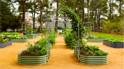 TIPS FOR EASIER, MORE PRODUCTIVE VEGETABLE GARDENING