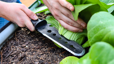 Gardening Products You Need to Start 2023 Off Strong