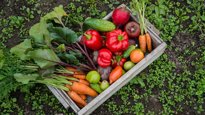 Growing Your Food This Season