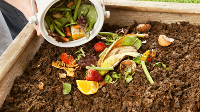 Try this Easy Method: Dig and Drop Composting