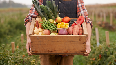 Vegetables for Beginners