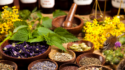 Harvesting Herbs at Their Peak Flavor