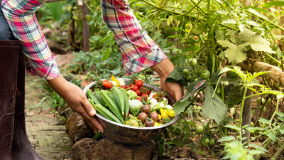 It's National Harvest Month! Here are a Few Benefits to Growing a Garden