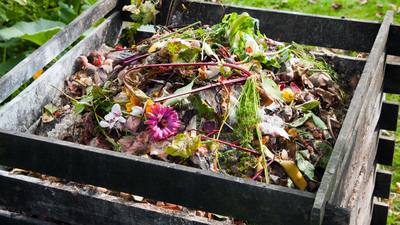 Creating Compost: Why You Need Brown and Green