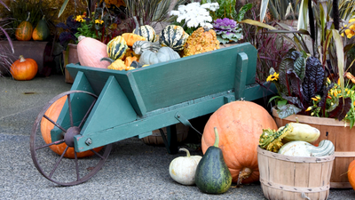 Gardening Projects to Do This Fall