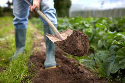 Let's Get Physical: June 6 is National Gardening Exercise Day