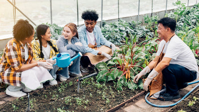 What Are Master Gardeners and How Can They Help You?