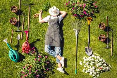 Digging Deeper: The Therapeutic Power of Gardening