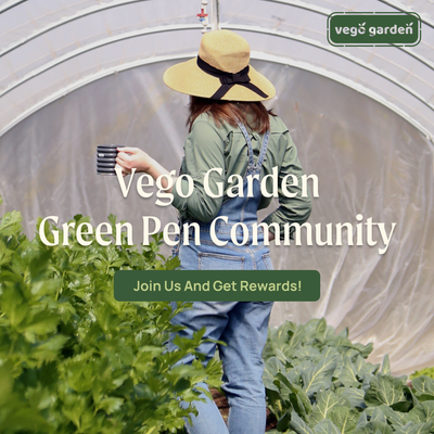 You Don't Need to Be a Green Thumb to Be a Green Pen at Vego Garden