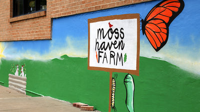 Moss Haven Farm x Vego Garden: A Story of Greener Futures