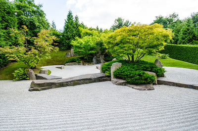 Zen Garden Techniques