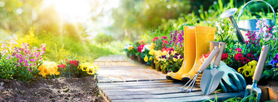 Growing a Memorial Garden for Your Home