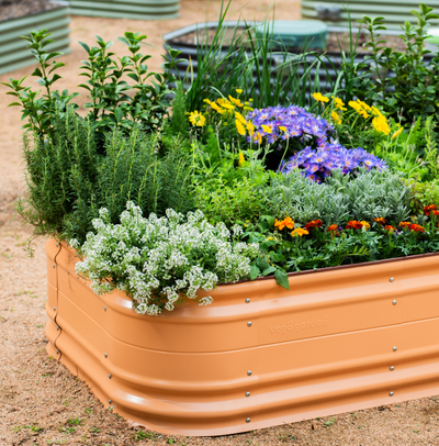 Elevate Your Garden Game: How Raised Beds Can Transform Your Backyard Oasis