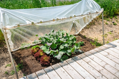 Protecting Your Garden from Extreme Weather