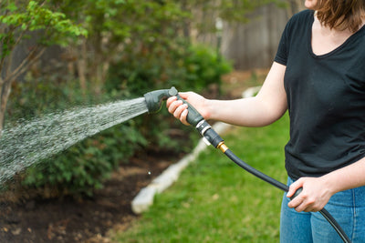 Advanced Watering Techniques for Savvy Gardeners