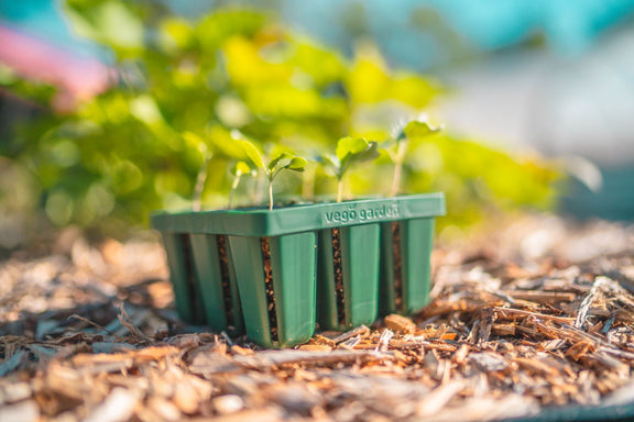 Mastering the Art of Using a Planter Box: A Complete Guide