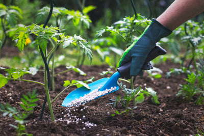 Selecting The Right Fertilizer for Your Vegetables, Fruits, and Flowers