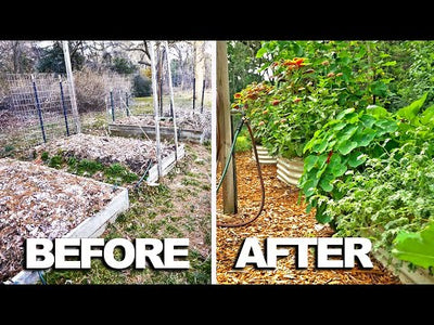How I transformed my garden with these beds
