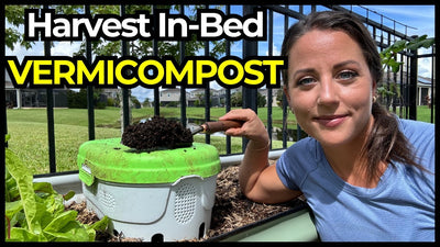 Step-by-Step Guide to Harvesting Compost from an In-Bed Vermicompost System