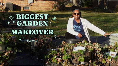 Garden Makeover part 1