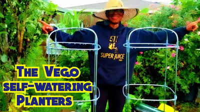 Vego self-watering Planters