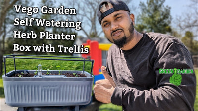 Vego Self Watering Herb Planter Box with Trellis #vegoplanter #vegogarden #greentgarden