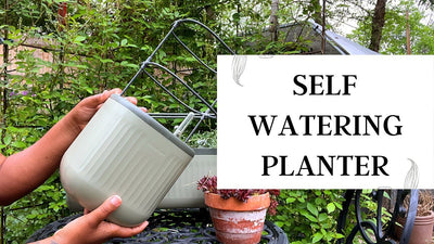 Self Watering Garden Planters | Moving Old Potting Soil | Amazon Solar Fountain