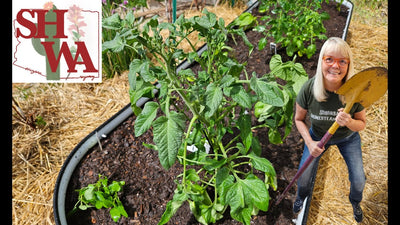 Secrets to Maximizing Plant Growth in Your Vego Raised Bed! @vego_garden