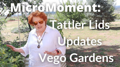 Vego Garden Updates