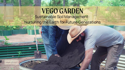 Sustainable Soil Management: Nurturing the Earth for Future Generations