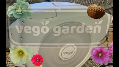 What's in the Box from Vego Garden? @vego_garden