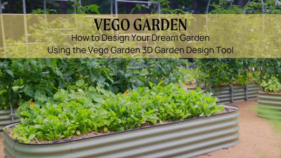 Design Your Garden with 3D Garden Design Tool
