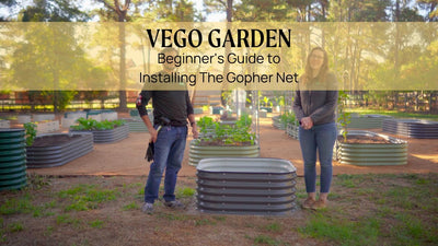 Beginner's Guide to Installing Gopher Net