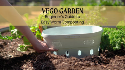 Beginner's Guide to Easy Worm Composting